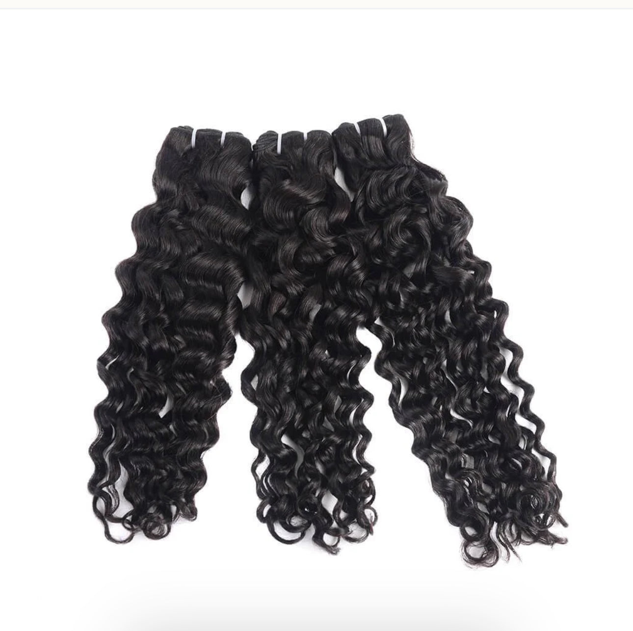 Burmese curly