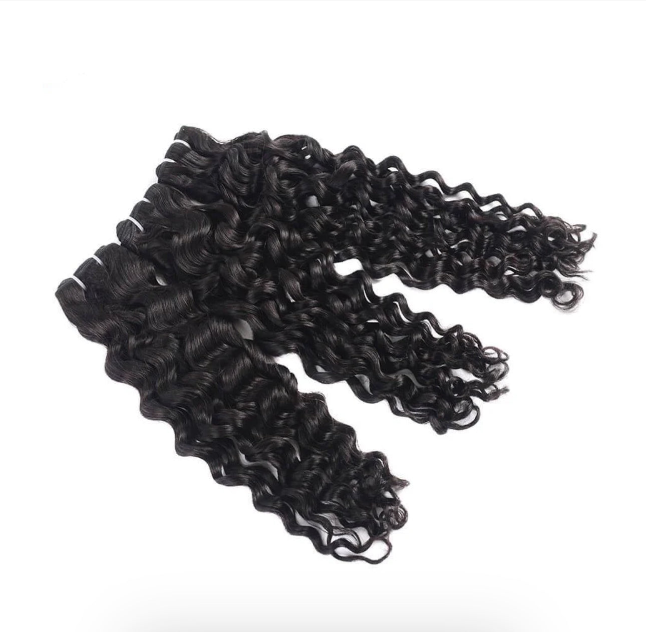 Burmese curly