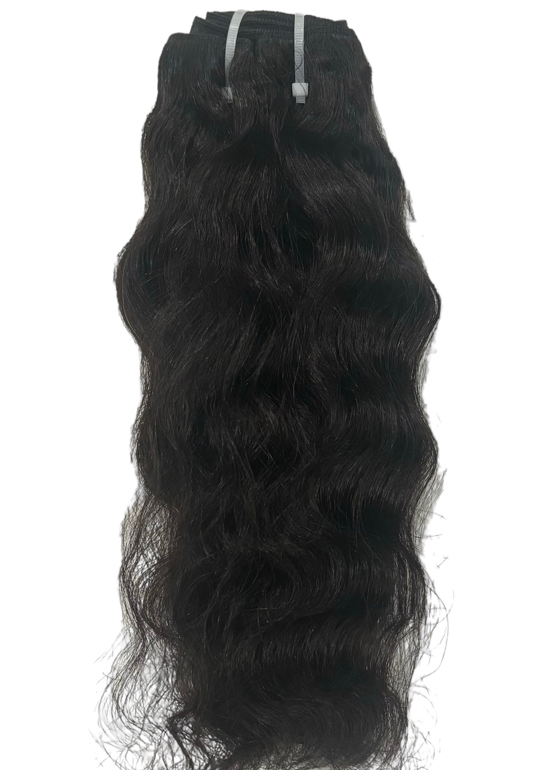 Indian Curly