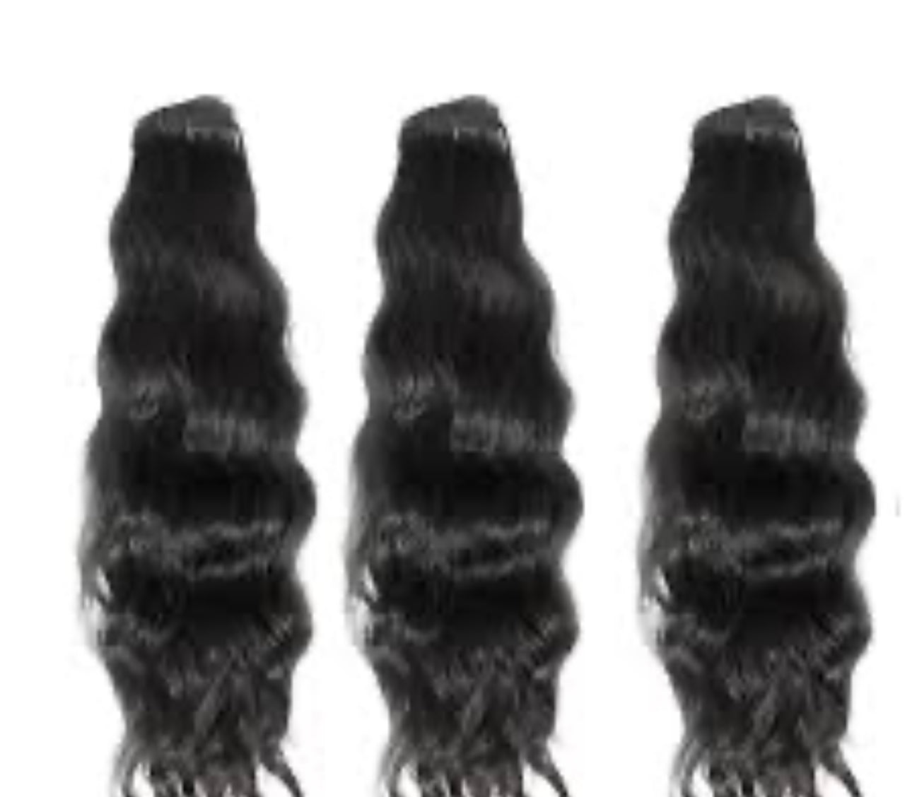 Indian Curly