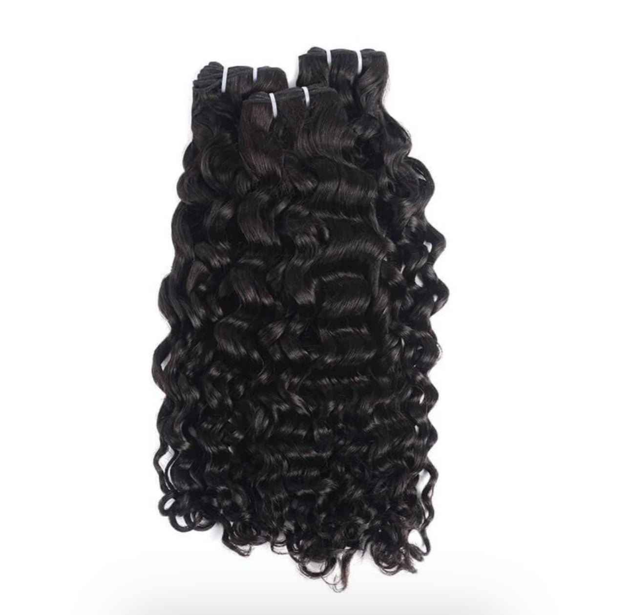 Burmese curly