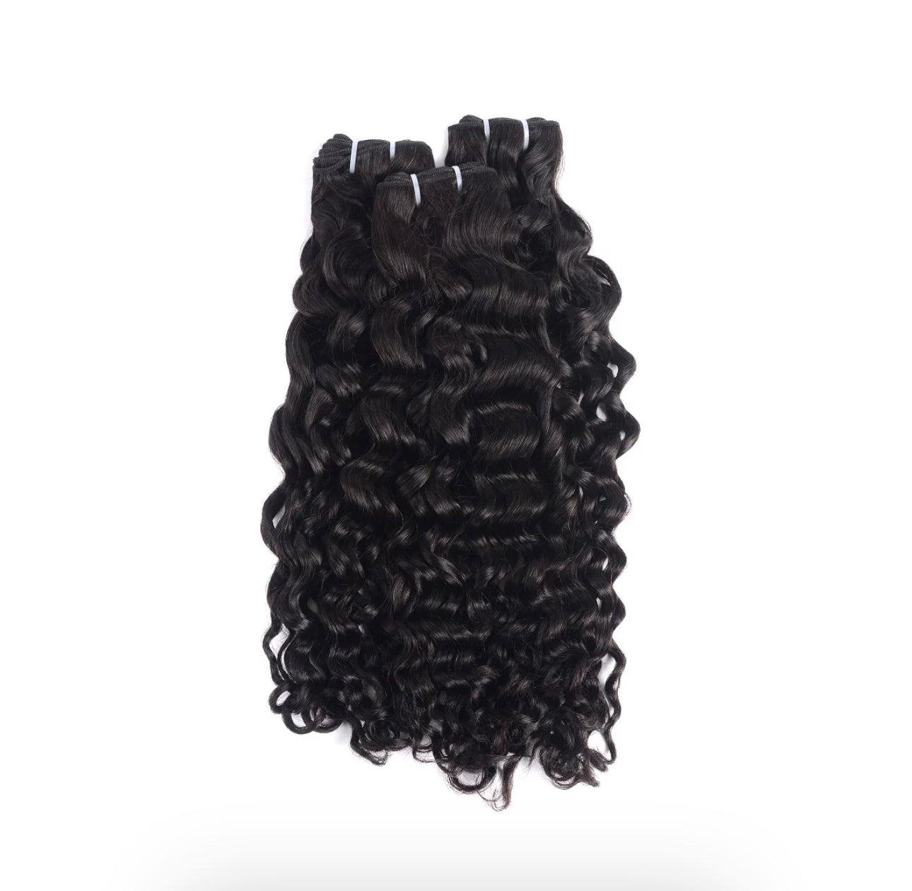 Burmese curly