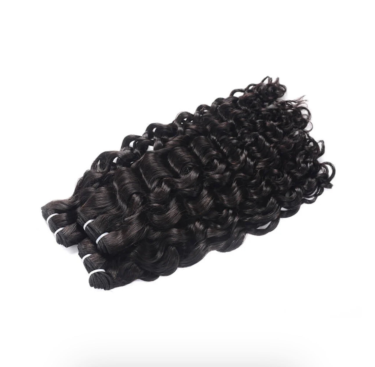 Burmese curly